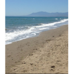 Sea Breeze Equestrian