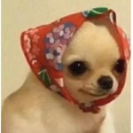 ᴘᴇᴀᴄʜʏ ᴄᴏʟᴀ