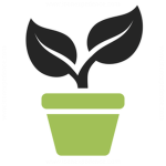 Qutro Development