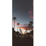 The Sky Above