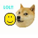 doge and noob club lol