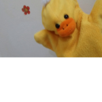 Swaggy Ducks :P