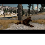 B . H . F Wolf pack!