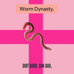 Worm Dynasty