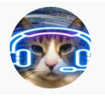 The Kitty Gamer's Group