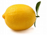 LE Lemons United