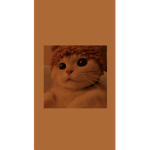 Fran de Los robux