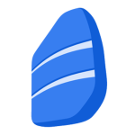 Rosetta Inc.