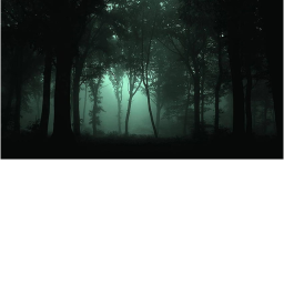 Dark Forest