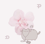 Kɪᴛᴛʏ’s