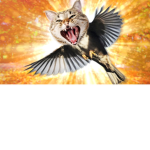 CatzRulez