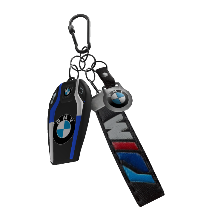 BMW Car Keys