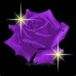 MidnightFlower20's Group
