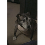 Mo_jess10