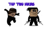 Top Ninjas