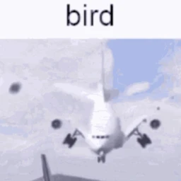AIRPLANE icon