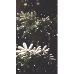Tiana aesthetic