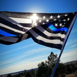 Liberty County private RolePlay server