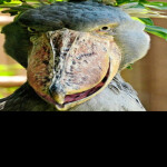 test and chill place