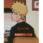 Ty’s Crib