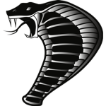Team Black Cobra