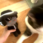 히토코교
