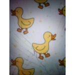 ducks are lit:>