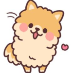 PUPPYS and more PUPPYS