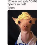 Unicorncookiefluffly