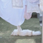 ❀