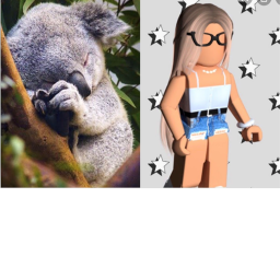 Meet and Greets ~ Koala Army