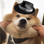 Federal Doge Investigation