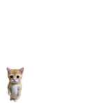 my friends want robux so
