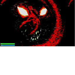 The Black Shadow 1