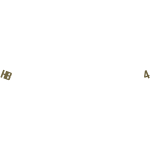 PSA 4 Jacket Brass