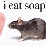 ~Rat Cult~
