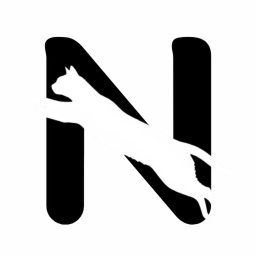 N 🐾