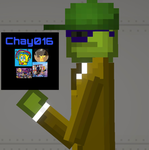 The Chay016 Group