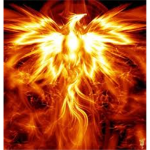The Flaming Phoenixes