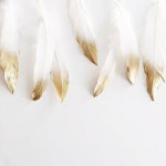 *feather gang*