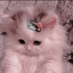 darkbun<3