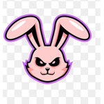 Bunnies forever helpers