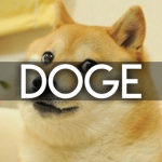 DOGE Clothing Group
