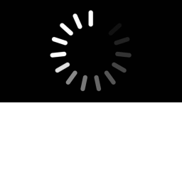 The Loading Screen