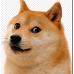 #Doges4life