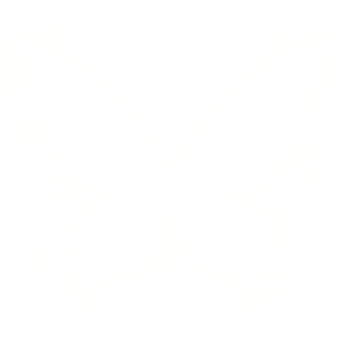 (EMISSIVE GLOWING) white fairy wings