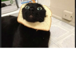 The great BREAD CLAN