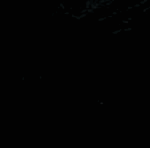 NC [Nameless Clan]