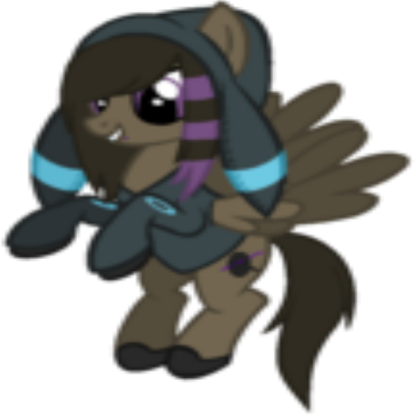 Pony With Shiny Pokemon hoodie Roblox decal