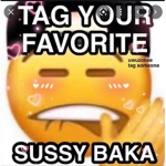 THE OFFICIAL SUSSY GROUP :)